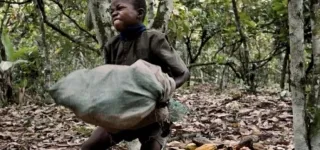 soubre-22-personnes-condamnees-a-des-peines-de-5-a-20-ans-pour-traitre-denfants